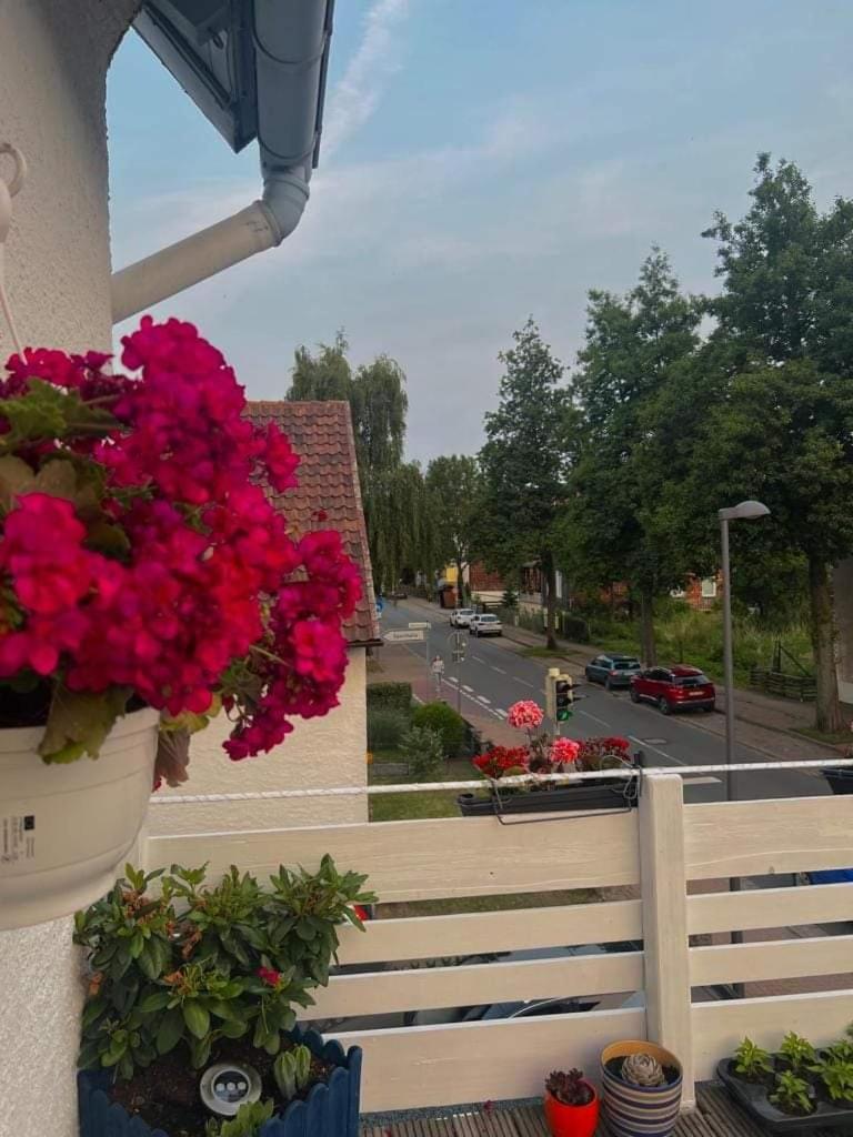 Fewo Im Harz باد هازبرغ المظهر الخارجي الصورة